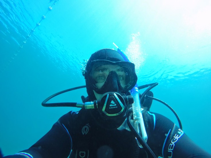 DCIM100GOPROGOPR0294.